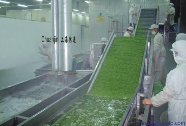 行业专用设备 食品生产机械 其他食品生产机械 果蔬加工自动化流水线